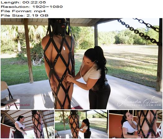 Goddess Alexandra Snow  Ruined in the Hanging Cage preview