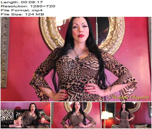 Goddess Cheyenne Accept Your Submissive Heart preview