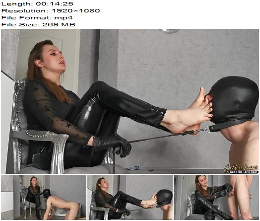 Goddess Lena  Chastity Slave Humiliation preview