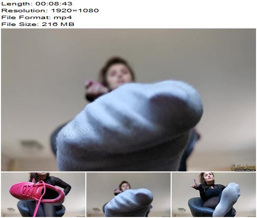 Goddess Lena Sock Rip Off preview