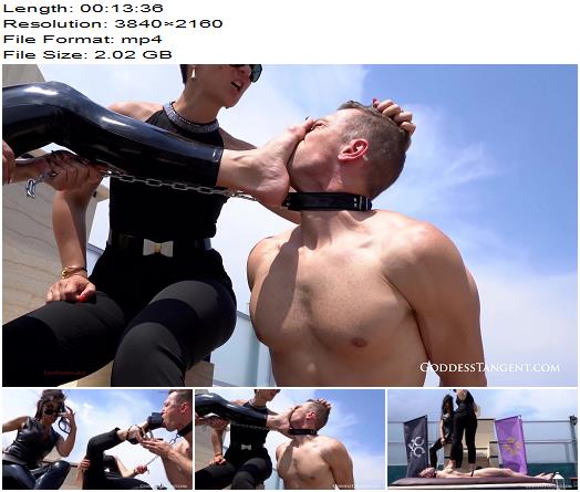 Goddess Tangent Mistress Alexandra Faulty Cleaning Slave Corrections part 1 4K preview