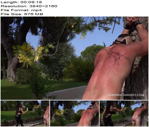 Goddess Tangent Remarking 4K preview