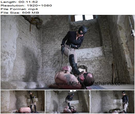 Institute of Discipline Private Audience in the Basement preview