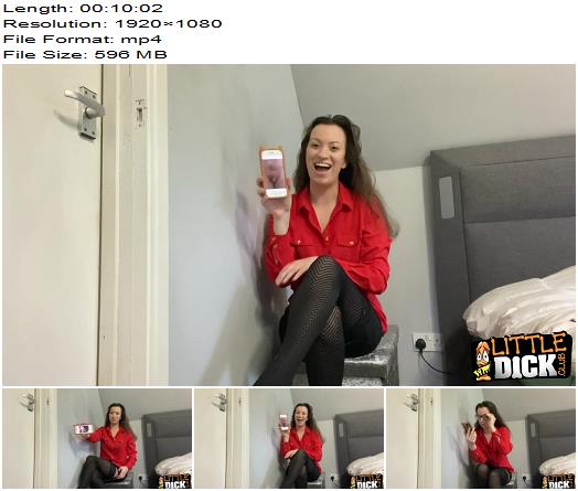 Little Dick Club Michelle De Feo Michelles Dick Ratings preview