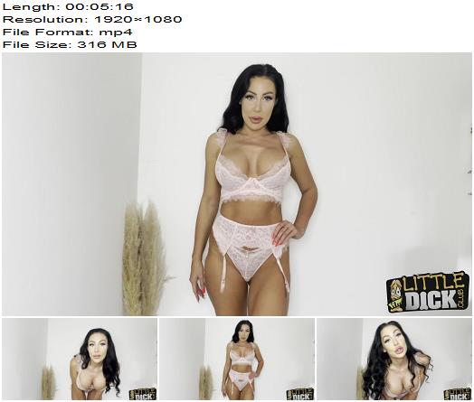 Little Dick Club Mila Amora TASK Nappy For Baby Dick preview