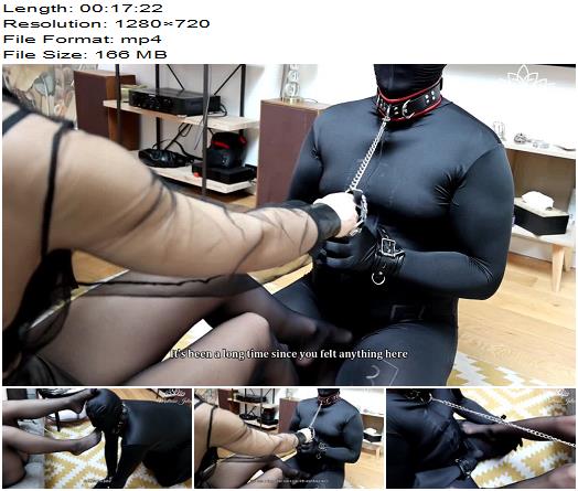 Maitresse Julia  Part 2 This slave becomes my new Toy  Feet and pantyhose fetish trampling and female domination preview