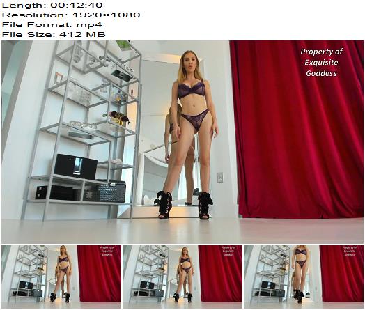 Exquisite Goddess  High Heel Slave 2 preview