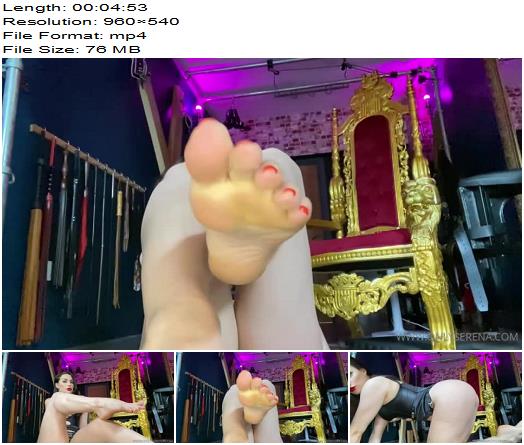 Gynarchy Goddess  Foot Worship Pov preview