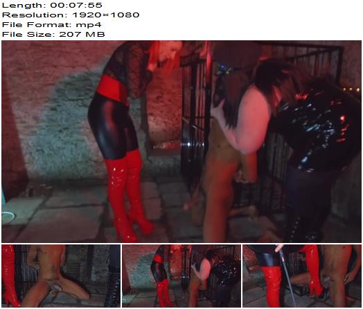 Mia MILF  Ball crushing and kicking preview