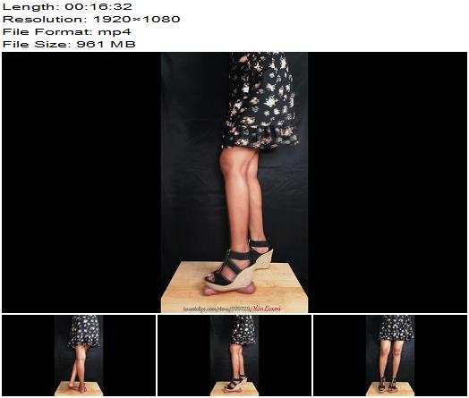 Miss Luxmi  Barefeet  Wedges preview