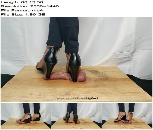 Miss Luxmi  Mercilessly Wedged preview