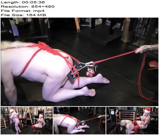 Mistress Ava Von Medisin  Rudolph The Red Balled Reindeer Part 2 and Out Takes preview