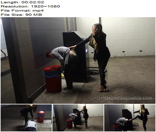 Goddess Amber Dont Ever Forget Youre Disposable Bitches preview