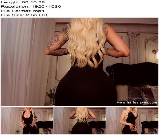 Harley LaVey  Wait For It preview