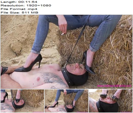 Institute Of Discipline A Face For Spit Mud And Ash By Mistress Katharina preview