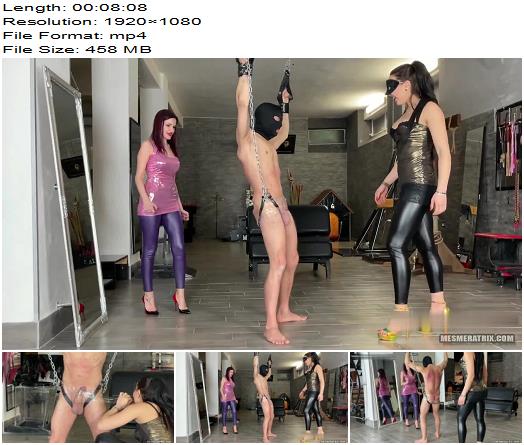 La Regina Dittatrice Destroying This Losers Balls Starring Lady Mesmeratrix and Mistress Gaia preview