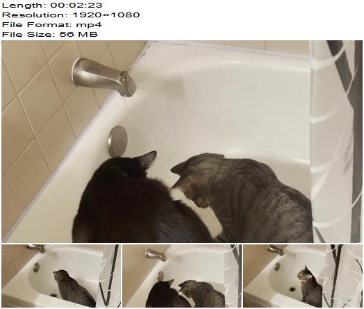 LusciousxLuci  APRIL FOOLS FREEBIE  pussy play in bath preview