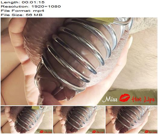 Miss Hot Lips 00051 preview