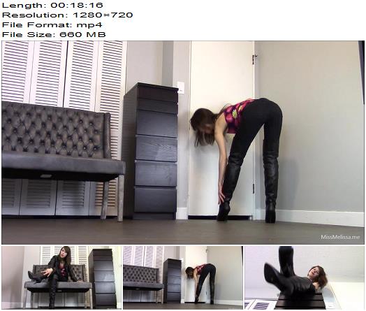 Miss Melissa  All About The Matte Thigh High Boots preview