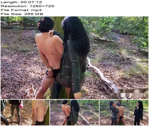 Mistress Blackdiamoond His balls our punchbag preview