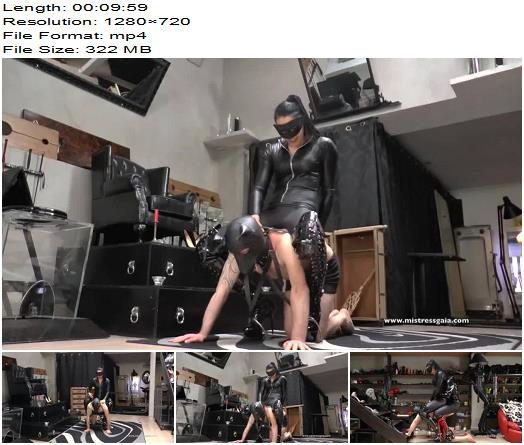 Mistress Gaia  Pony PushUp preview