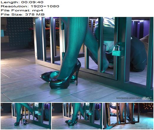 Mistress Legs Femdom mistress feed slave by her feet preview