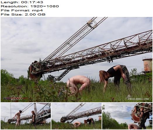 Reell Lost Places Lost Men Bagger 1473 preview