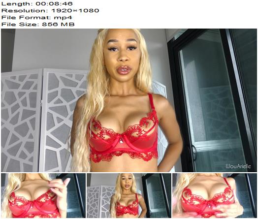 WowArielle Big Tits Make Me Rich preview