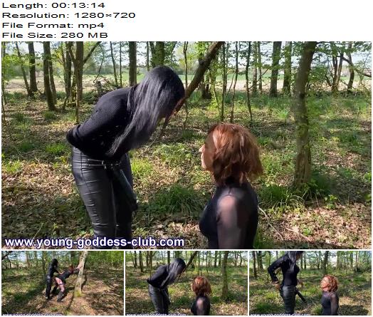 Young Goddess Club  STRAPON WOOD  I GOT SCREWED IN THE WOODS preview