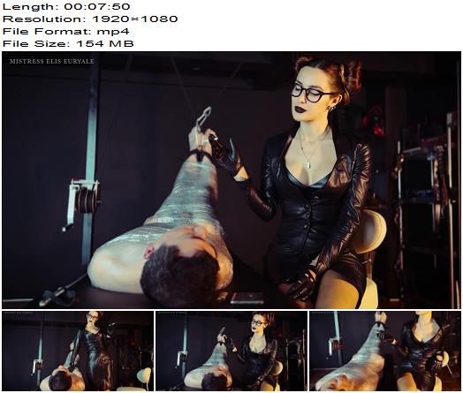 Elis Euryale Bounded and burnt preview