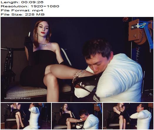 Elis Euryale  Devoted Human Ashtray preview