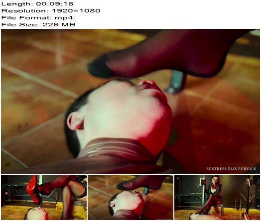 Elis Euryale  Ecstasy for a trapped foot slave preview