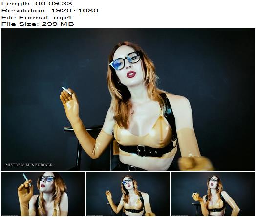 Elis Euryale  Latex gloves for an ashtray preview