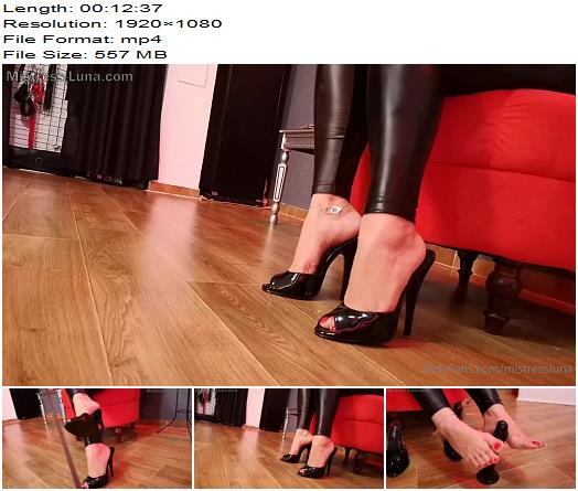 Mistress Luna  090 mistressluna180420222429131599Today Ill make you My puppy Ill give you My collar and you will be all time at My feetAll you preview