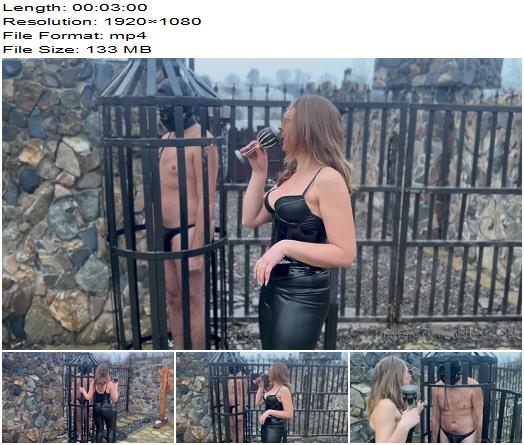 Mistress Zeida Dracula FemdomCastle  Snowballing and burning the prisoner in the gibbet cage preview