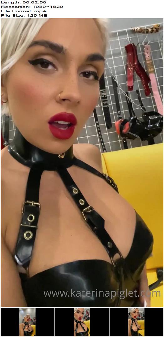Katerina Piglet  Mistress Loves To Tease You preview