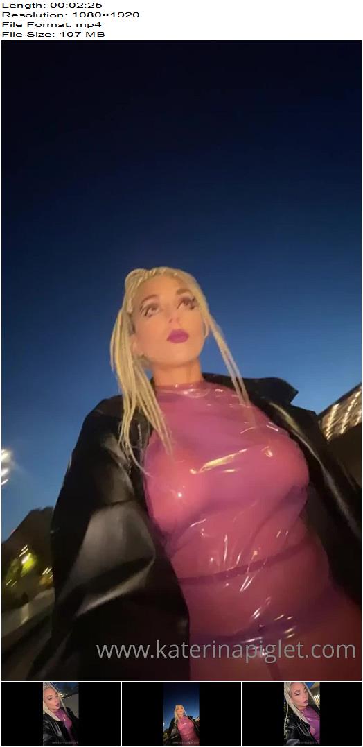 Katerina Piglet  My Evening Walk In Latex preview