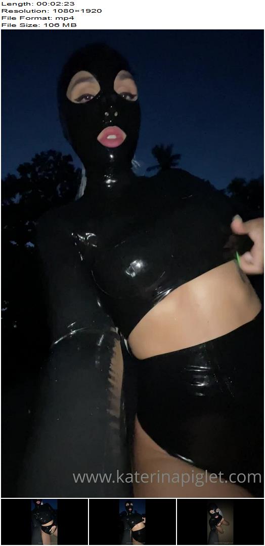 Katerina Piglet  What About Night Swimming preview