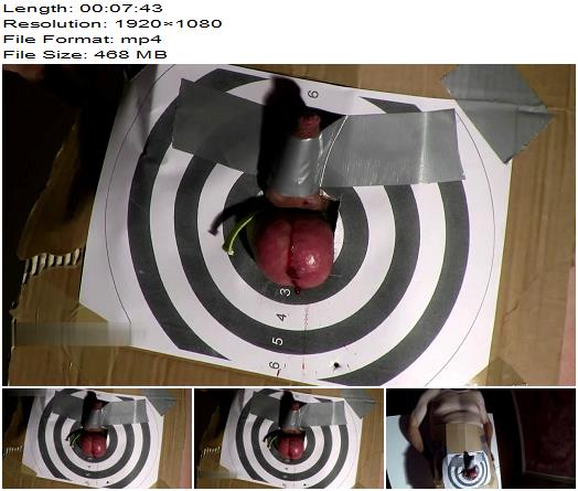 Mistress Ambra  Balls Target 4  Extreme preview