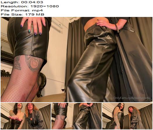 Mistress Damazonia  We Made Sure To Verbally Humiliate You preview