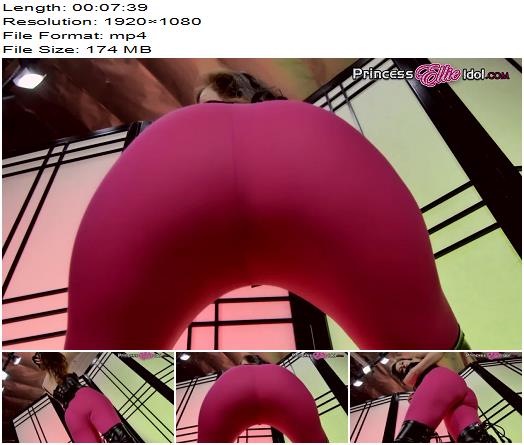 Princess Ellie Idol  Youd Go Broke For This Ass preview