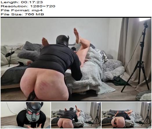 Training Zero  Femdom Mistress Puppy Play Tricks Humiliation Butt Plug Tail Orgasm preview