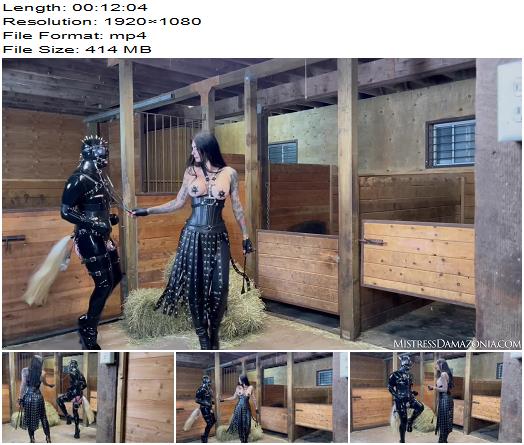 Damazonia  Slave becomes a rubber pony preview