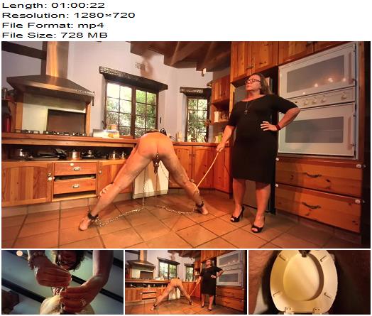 Mistress April  Dominatrix Mistress April  A Life At Her Feet Part 2 preview