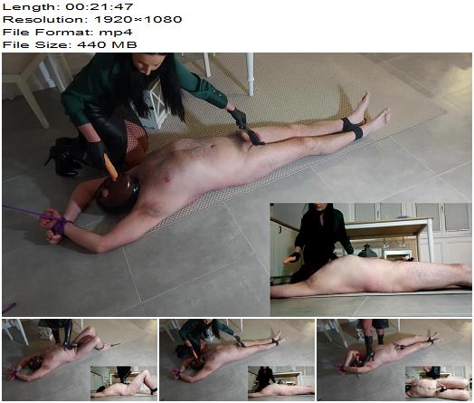 Mistress Luciana  Luciana di Domizio  A Delicious Cocktail For The Slave preview