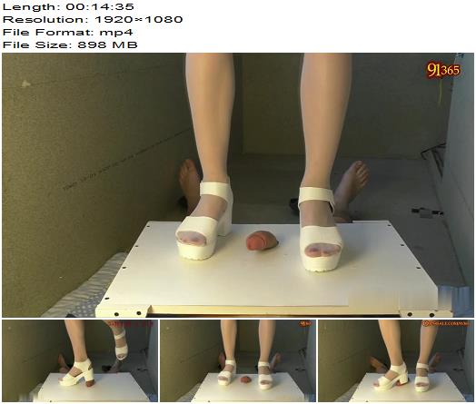 CRUEL WIFE TRAMPLING ME Destruction my cock HARD part 1 preview