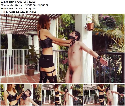 Elis Euryale  Gagged cuffed and ballbusted preview