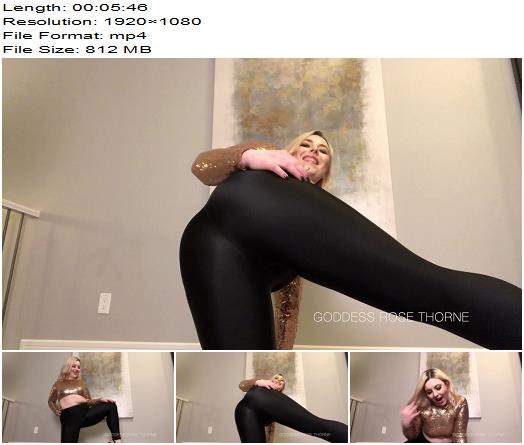 Goddess Rose Thorne  Sniff My Shiny Leggings preview