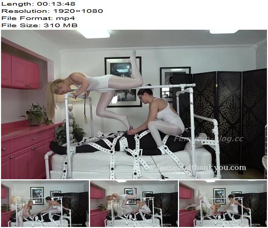 Kat Turner Mandy Marx The Perfect Toy Tease preview