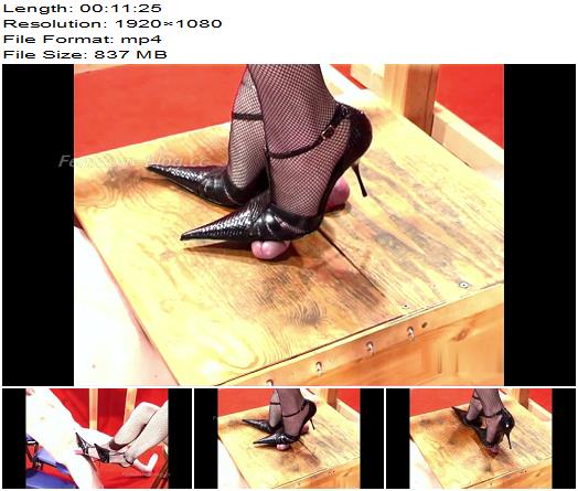 Mistress Julia  Cum under my pointy ROSA stilettos slave preview